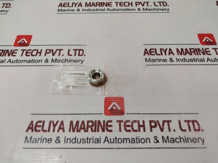 Cameron 2185818-13 Repair Valve Rev 02