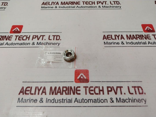 Cameron 2185818-13 Repair Valve Rev 02