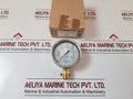 Capri 100Xkpa Pressure Gauge