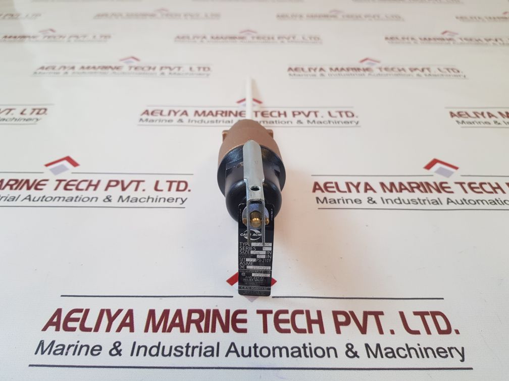 Cash acme fvx-8c p&t relief valve