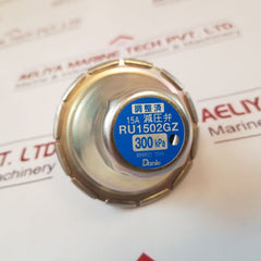 Danle Ru1502Gz Pressure Reducing Valve