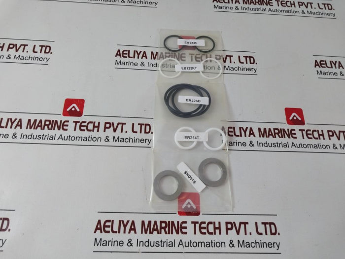 Dtl Technologies Sh1101Rk Shuttle Valve Repair Kit