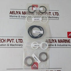 Dtl Technologies Sh1101Rk Shuttle Valve Repair Kit