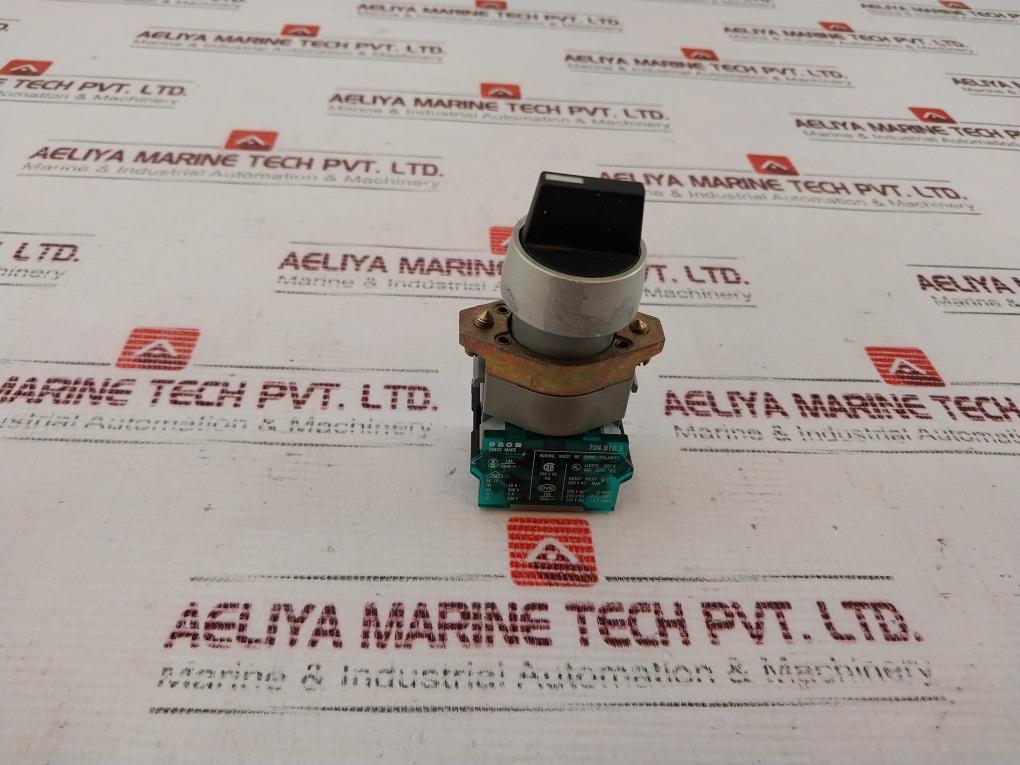 Eao 704.910.3 Switch 500V 10A