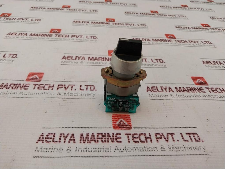 Eao 704.910.3 Switch 500V 10A