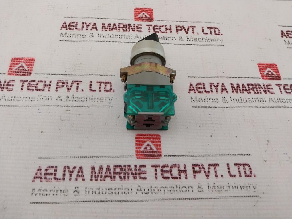 Eao 704.910.3 Switch 500V 10A