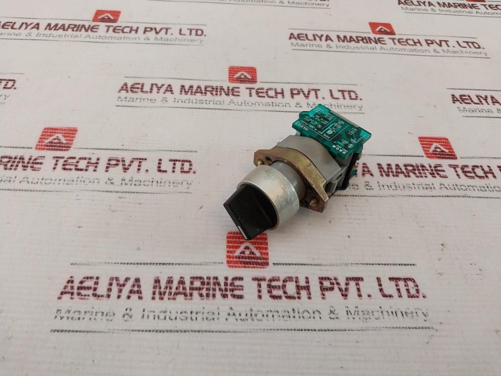 Eao 704.910.3 Switch 500V 10A