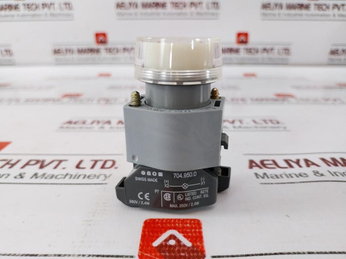 Eao 704.950.0 Illuminated Push Button Switch 250V/2,4W
