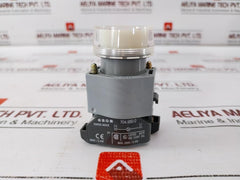 Eao 704.950.0 Illuminated Push Button Switch 250V/2,4W