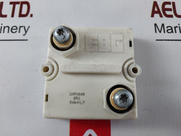 Ebg Uxp/600 Ultra High Power Resistor 54641Lf