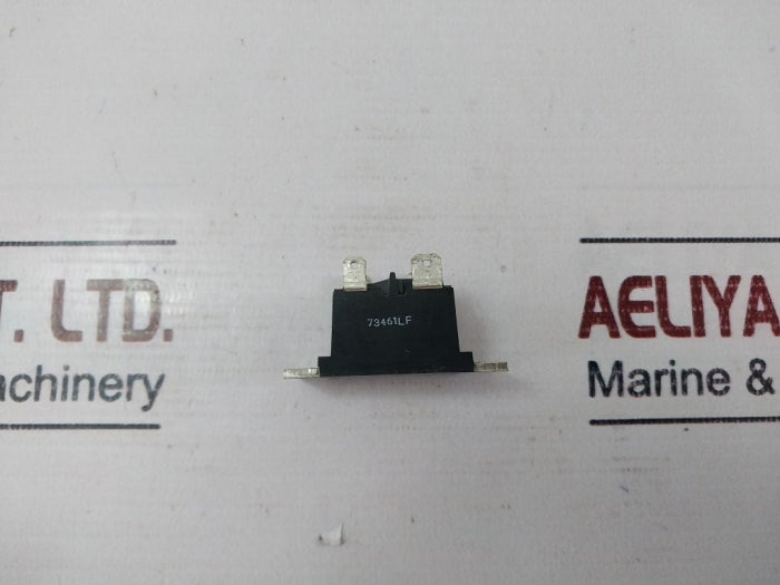 Ebg Vhp/4 Power Resistor