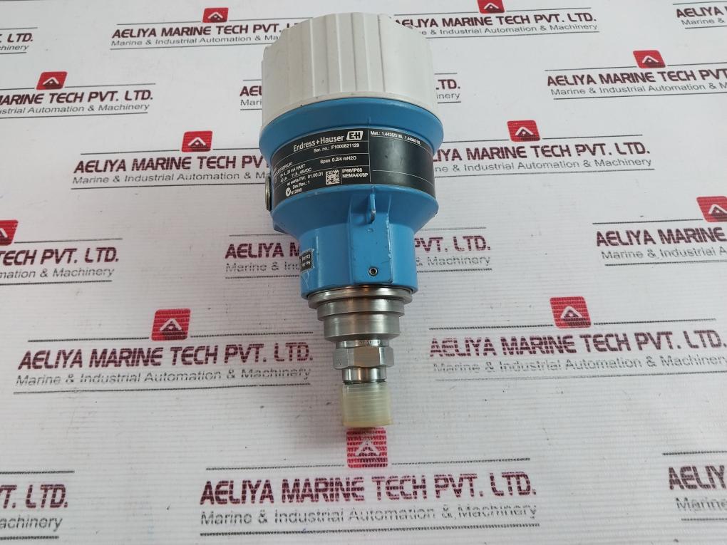 Endress+Hauser Pmp51-6Nm7/0 Pressure Transmitter Rev. 1