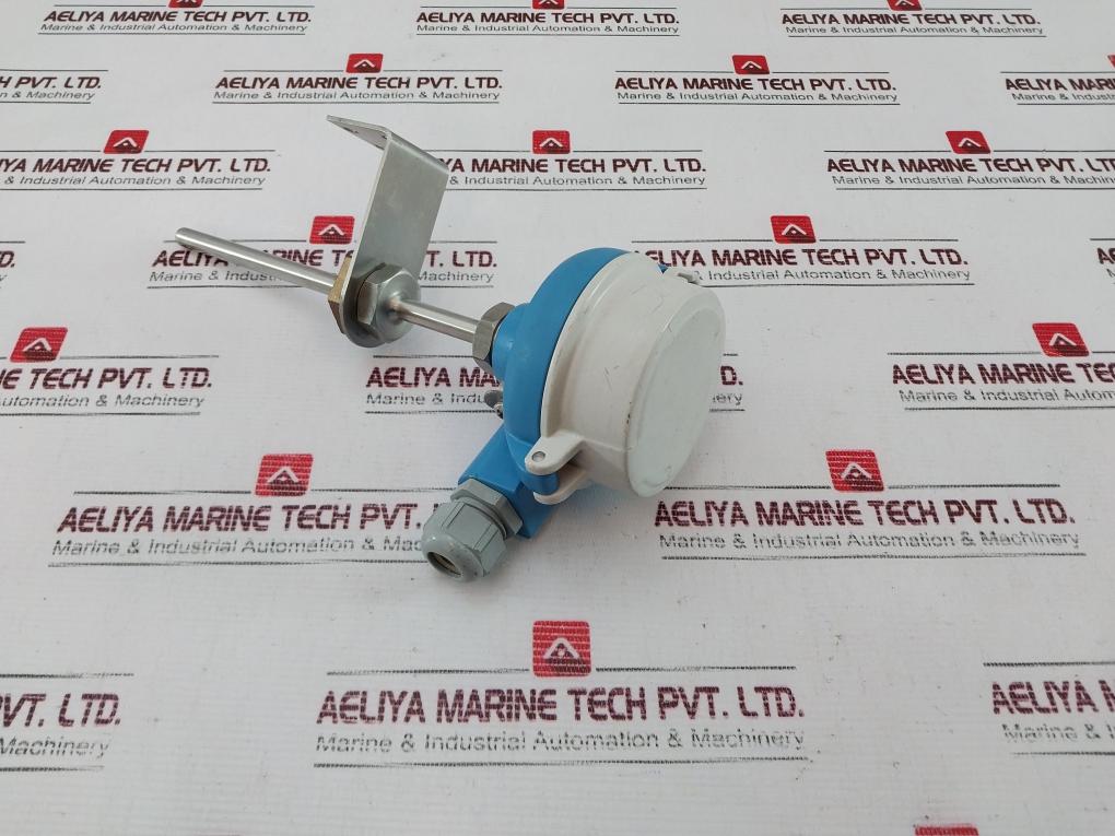 Endress+Hauser Tr10-aba1Casxc300E Thermometer