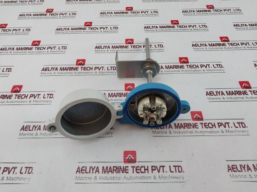 Endress+Hauser Tr10-aba1Casxc300E Thermometer