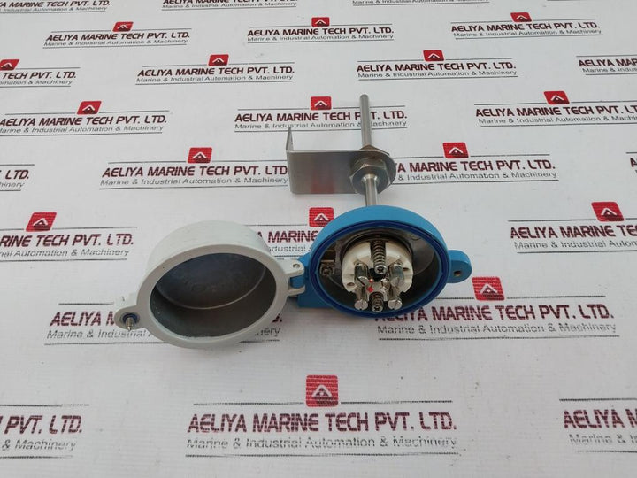 Endress+Hauser Tr10-aba1Casxc300E Thermometer