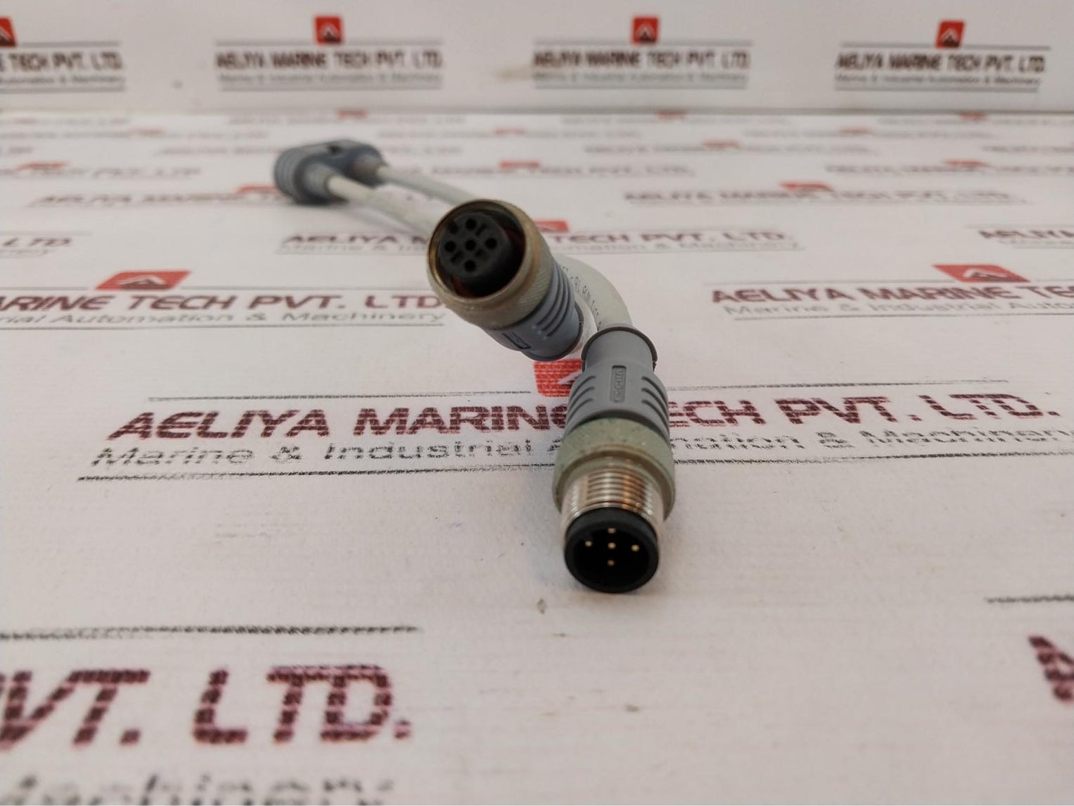 Escha 8018529/53237 Sensor Cable Connector Lif9Yhc11Yh E170315