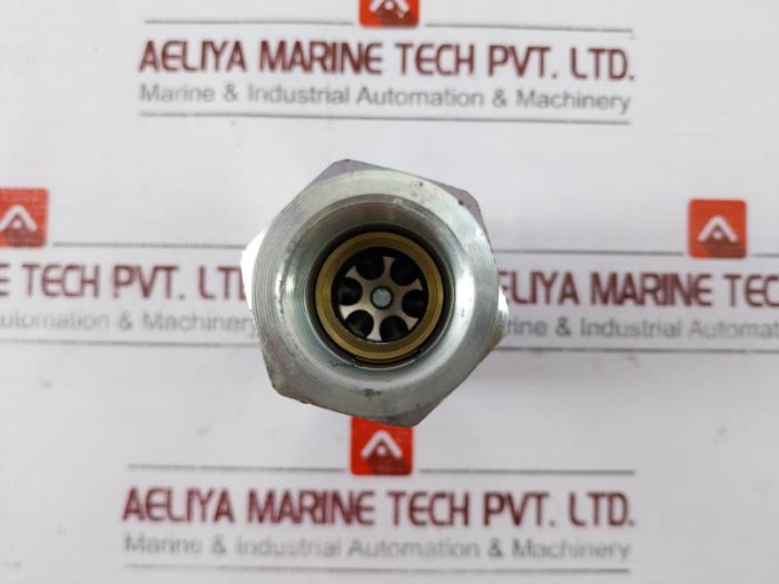 Faster Nv34Gasf-0710 Standard Coupling W/ Poppet Valve Vv34Gasf-071G