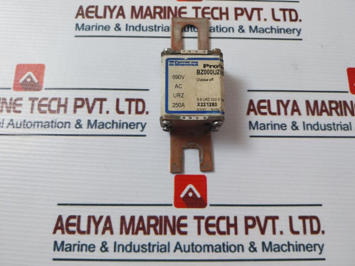 Ferraz Shawmut Bz000Uz69V250 Protistor Fuse Iec60269-4