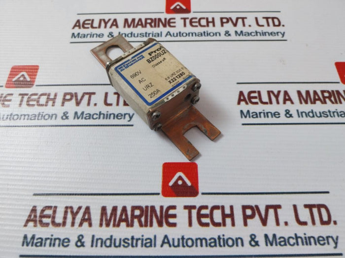 Ferraz Shawmut Bz000Uz69V250 Protistor Fuse Iec60269-4