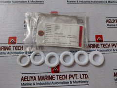 Fisher 1R290401012 Packing Set Pv-0105-02A.0016