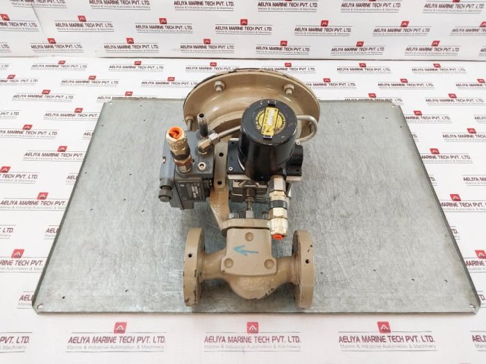 Fisher 3661 Valve Positioner Ip67