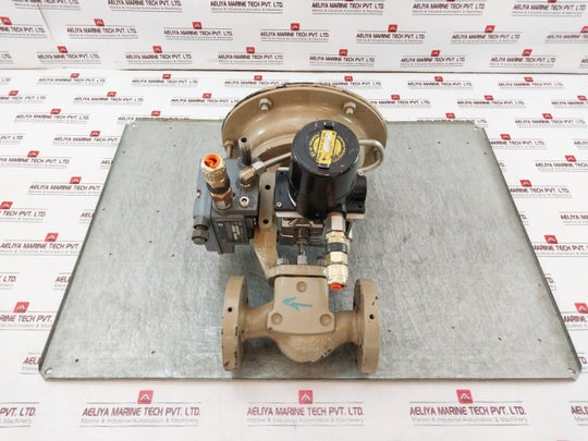 Fisher 3661 Valve Positioner Ip67