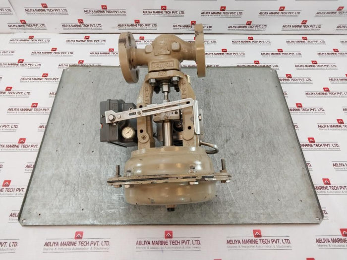 Fisher 3661 Valve Positioner Ip67