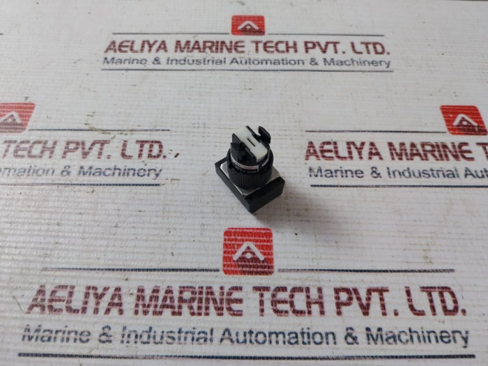Lot of 2X Fuji Electric AH16P-TGF Pushbutton Switch 250V 5A 2518 R