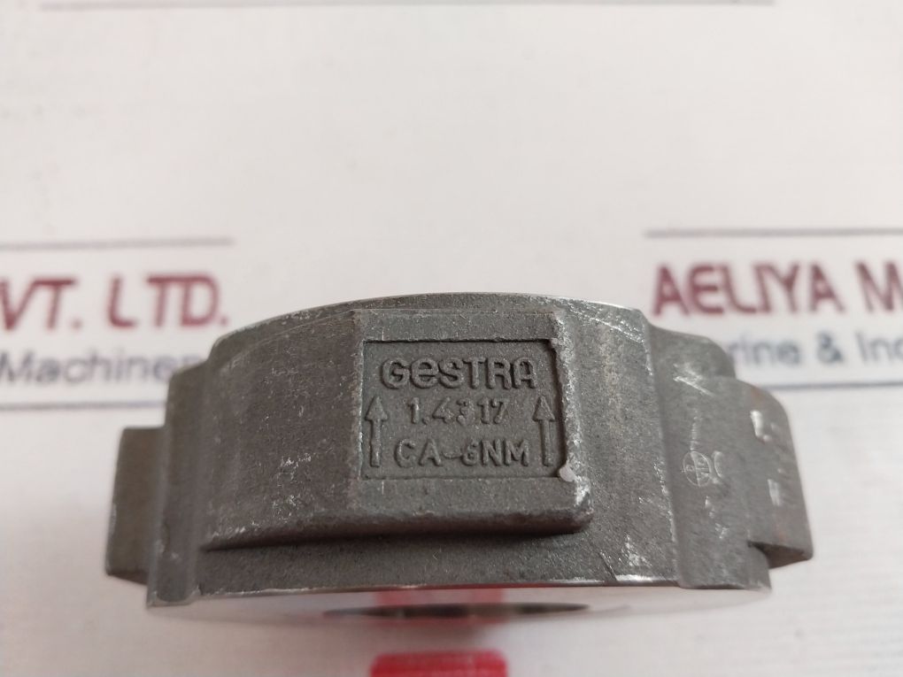 Gestra Rk 86 Check Valve Pn 6-40