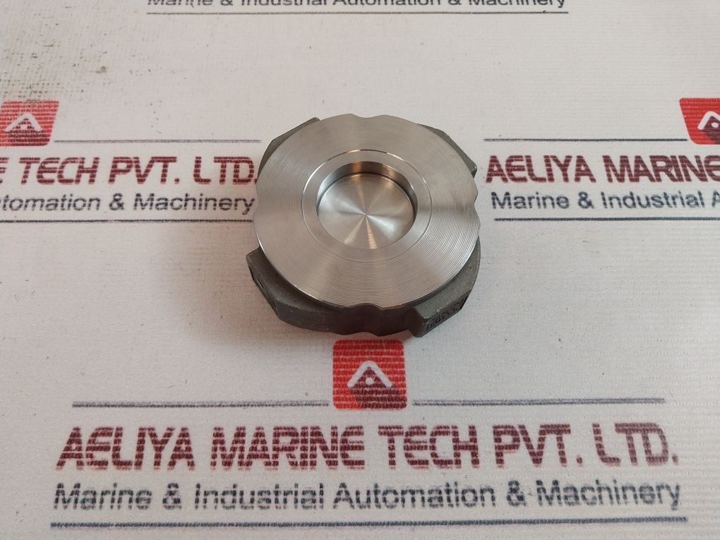 Gestra Rk 86 Check Valve Pn 6-40