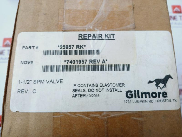 Gilmore 7401957 Repair Kit For 1-1/2 In No, Eh-type Spm Valve