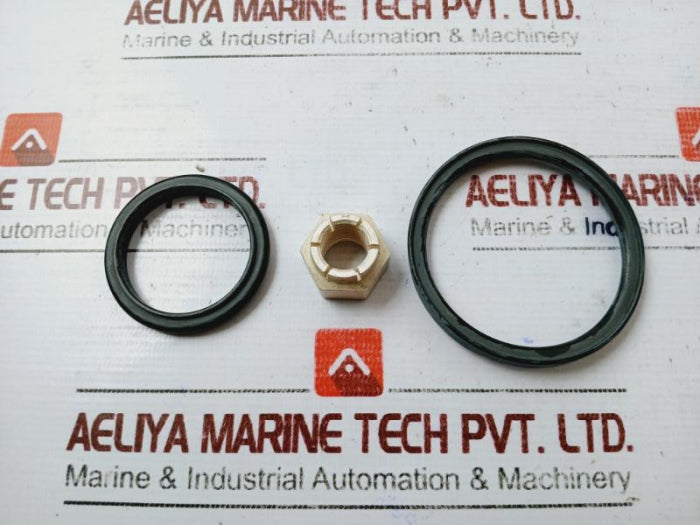 Gilmore 7401957 Repair Kit For 1-1/2 In No, Eh-type Spm Valve
