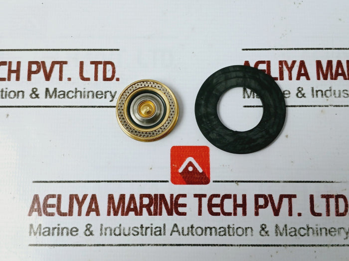 Hamworthy 481203.081 Repair Kit For Solenoid Valve 2 Tg 545012/Hamw-07