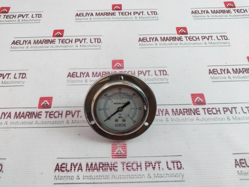 Howoyb 0 – 6 Bar Pressure Gauge
