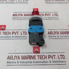 Idec Aln21611Dnr Pushbutton Control Unit