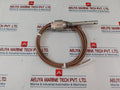 Intempco Ls1000f-l056-e120 Conductivity Switch (Water Detector) Class I Div 1