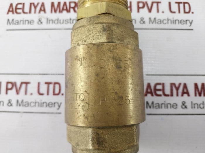 Itap Europa Dn25 Check Valve Patented Brevettato Pn25