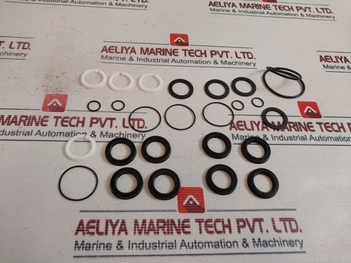 K.E.W 1119035 Reduced Gasket Kit For Pump Unit