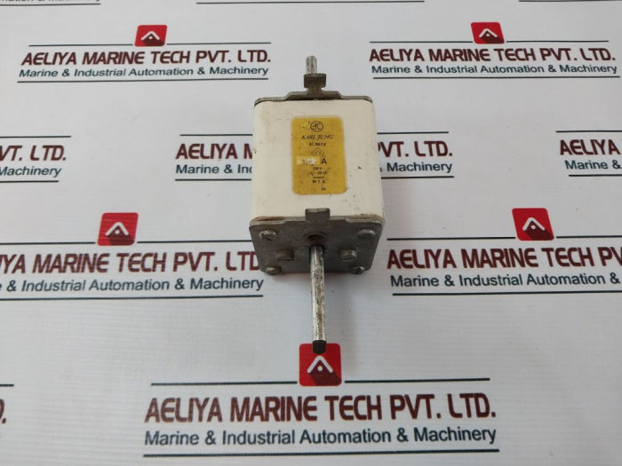 Karl Jung Iec 269-2 Gl Fuse 125A 500V 120 Ka