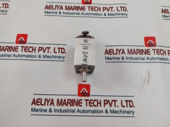 Karl Jung Iec 269-2 Gl Fuse 125A 600V