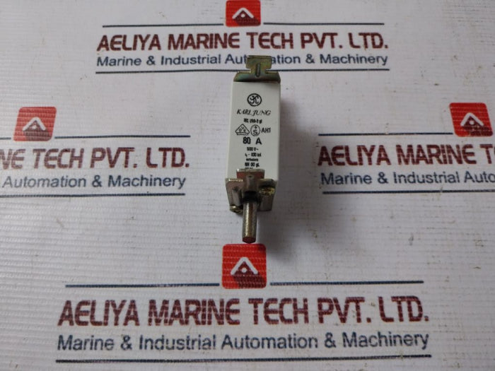 Karl Jung Iec 269-2 Gl Fuse 80A 500V