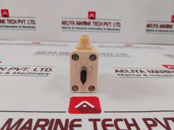 Legrand 163 30 Cartridge Fuse