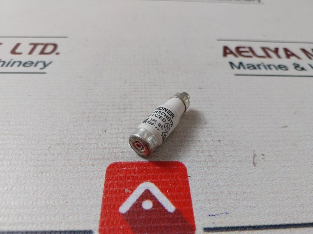 Lot Of 10X Lindner 5510 Fuse Link 380V AC 10A