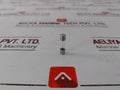 Lot of 10X SCHURTER 0034.3117 Fuse-links 5x20mm 250VAC IEC/EN 60127-2/3