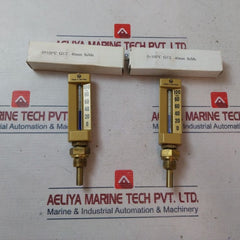 Ludwig Schneider Thermometer 0-100°C 40Mm