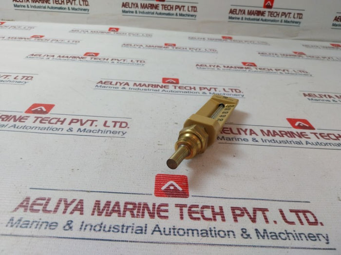 Ludwig Schneider Thermometer 0-100Â°C 40Mm