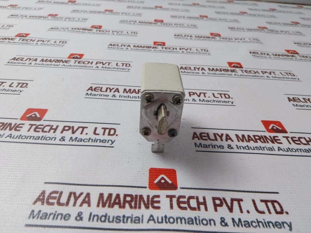 M.Schneider Nh-00 Euro Fuse 160A ~500V