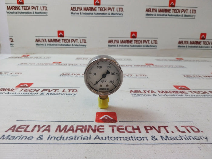 Mass 0-250 Kg/Cm2 Pressure Gauge