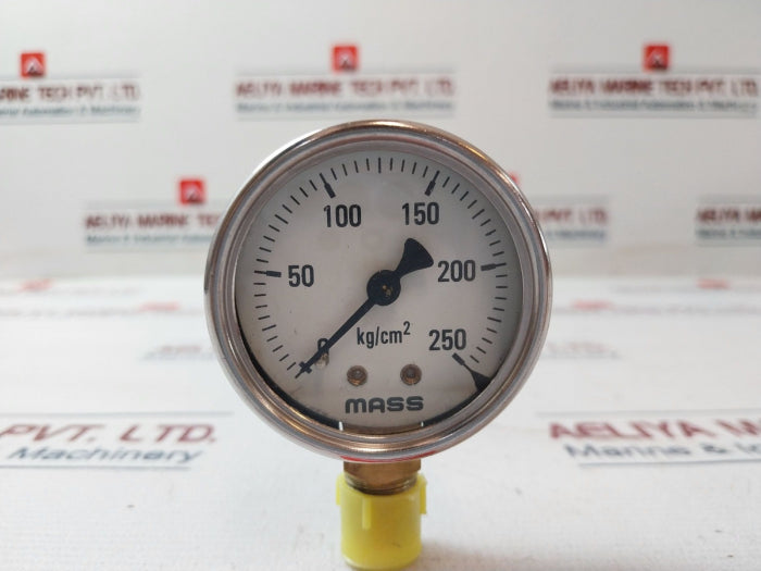 Mass 0-250 Kg/Cm2 Pressure Gauge