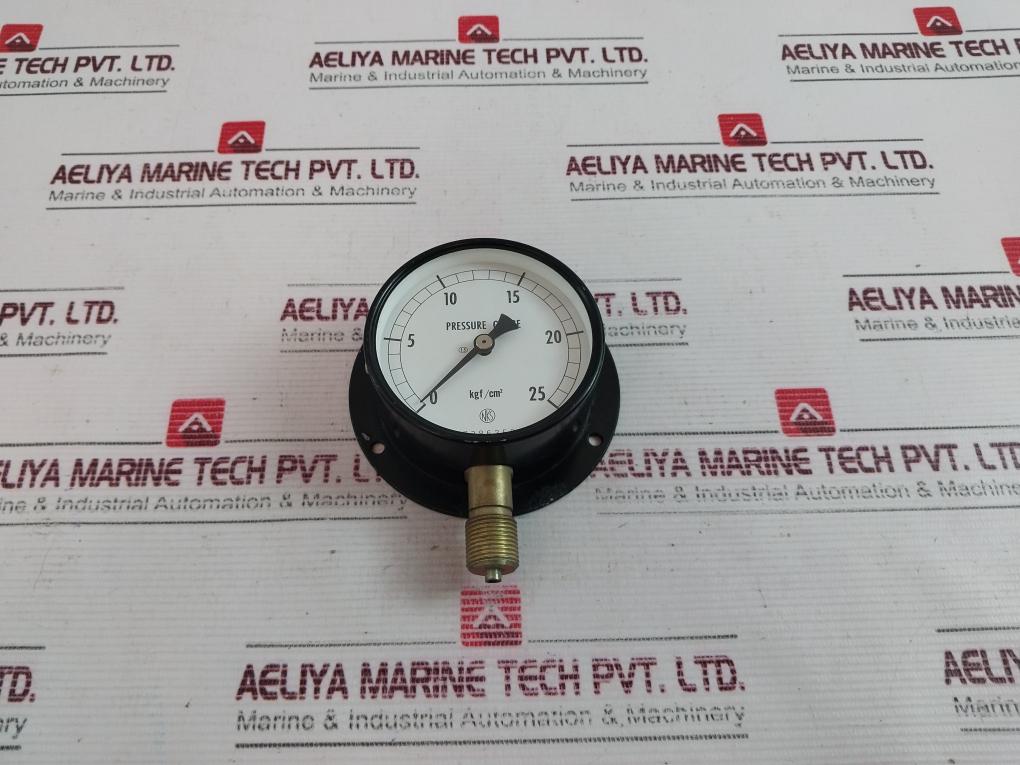 Nks 0-25 Kgf/Cm2 Pressure Gauge 7386358